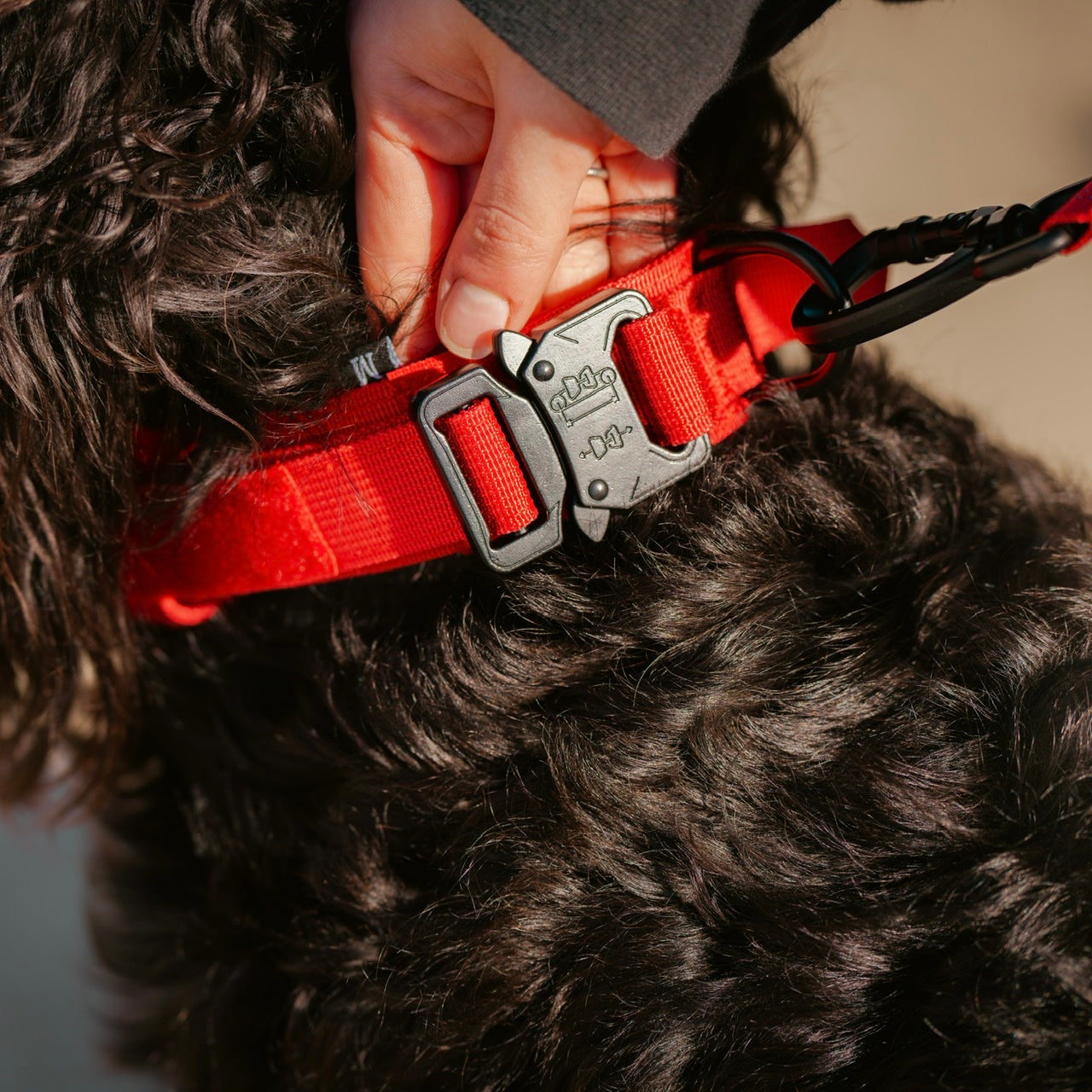 Tactical Dog Collar Elite Red