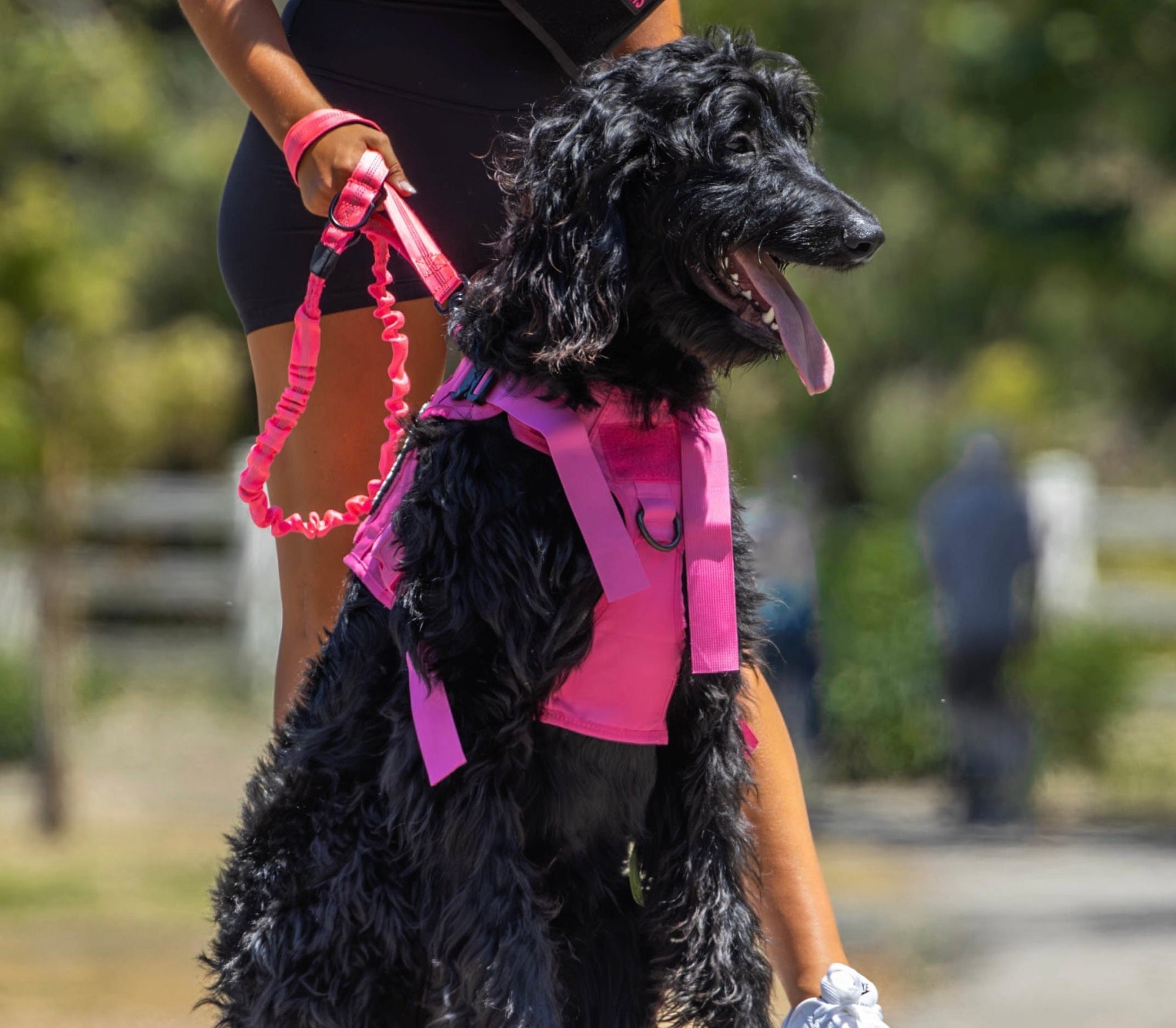 Neon Pink Tactical Dog Vest Harness