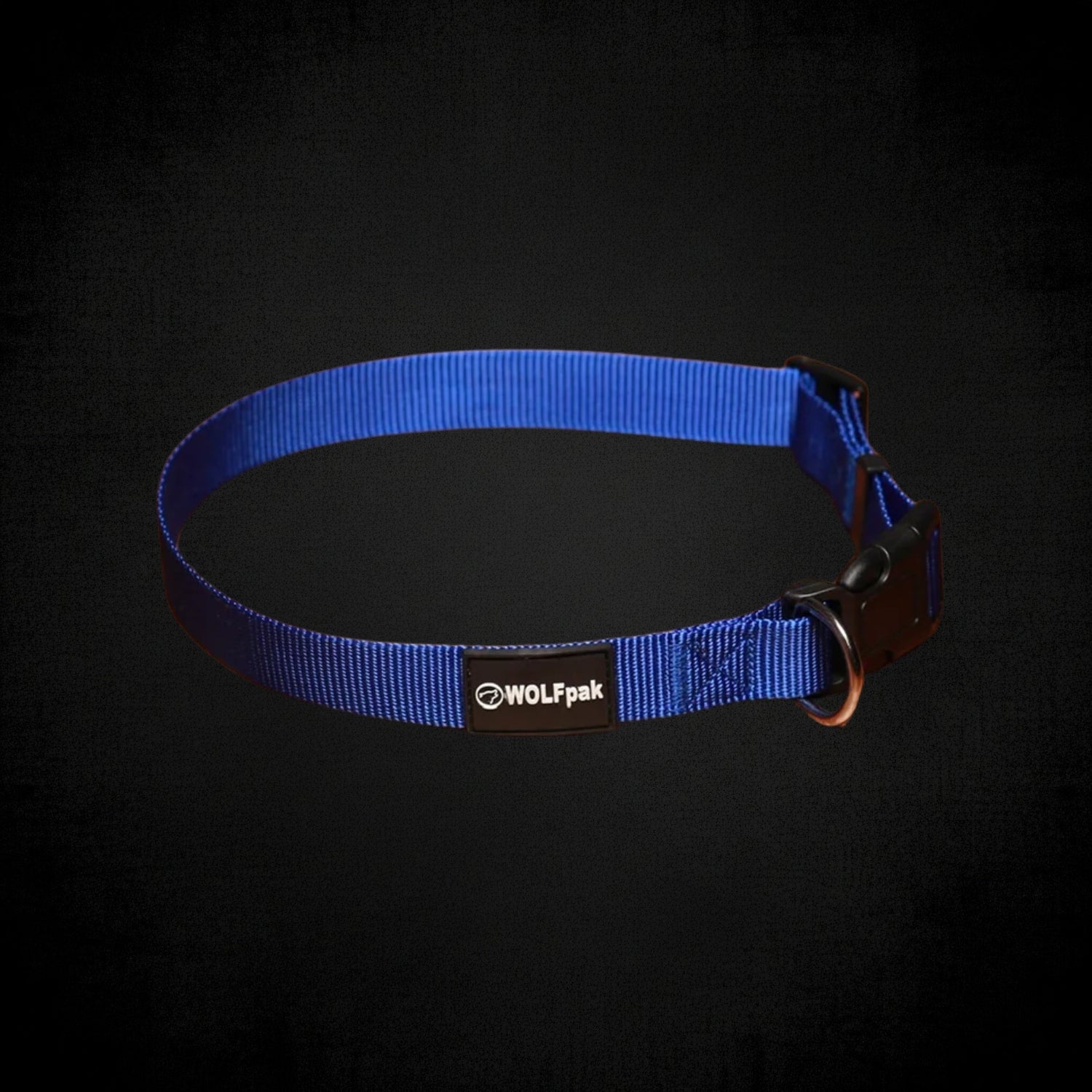 Adjustable Nylon Dog Collar Champion Blue