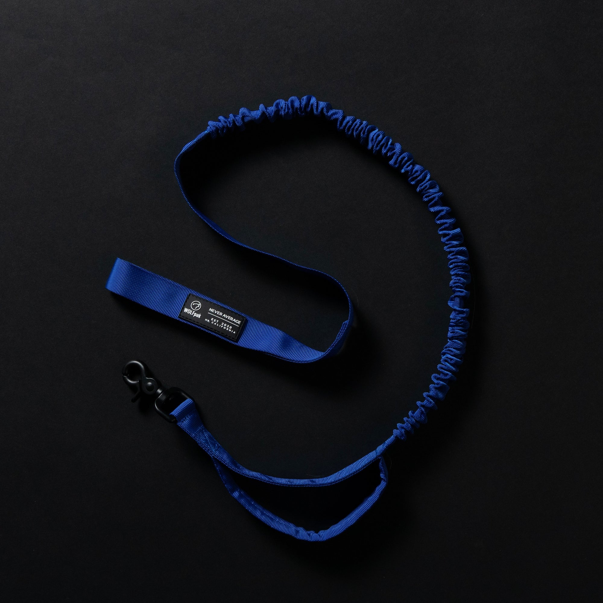Tactical Leash Blue