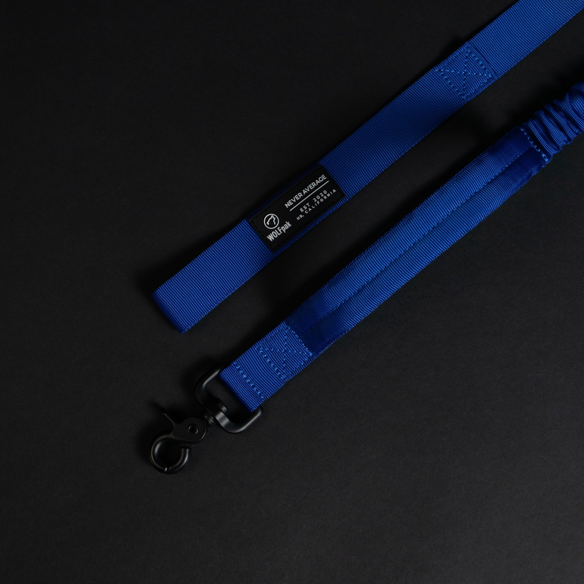 Tactical Leash Blue