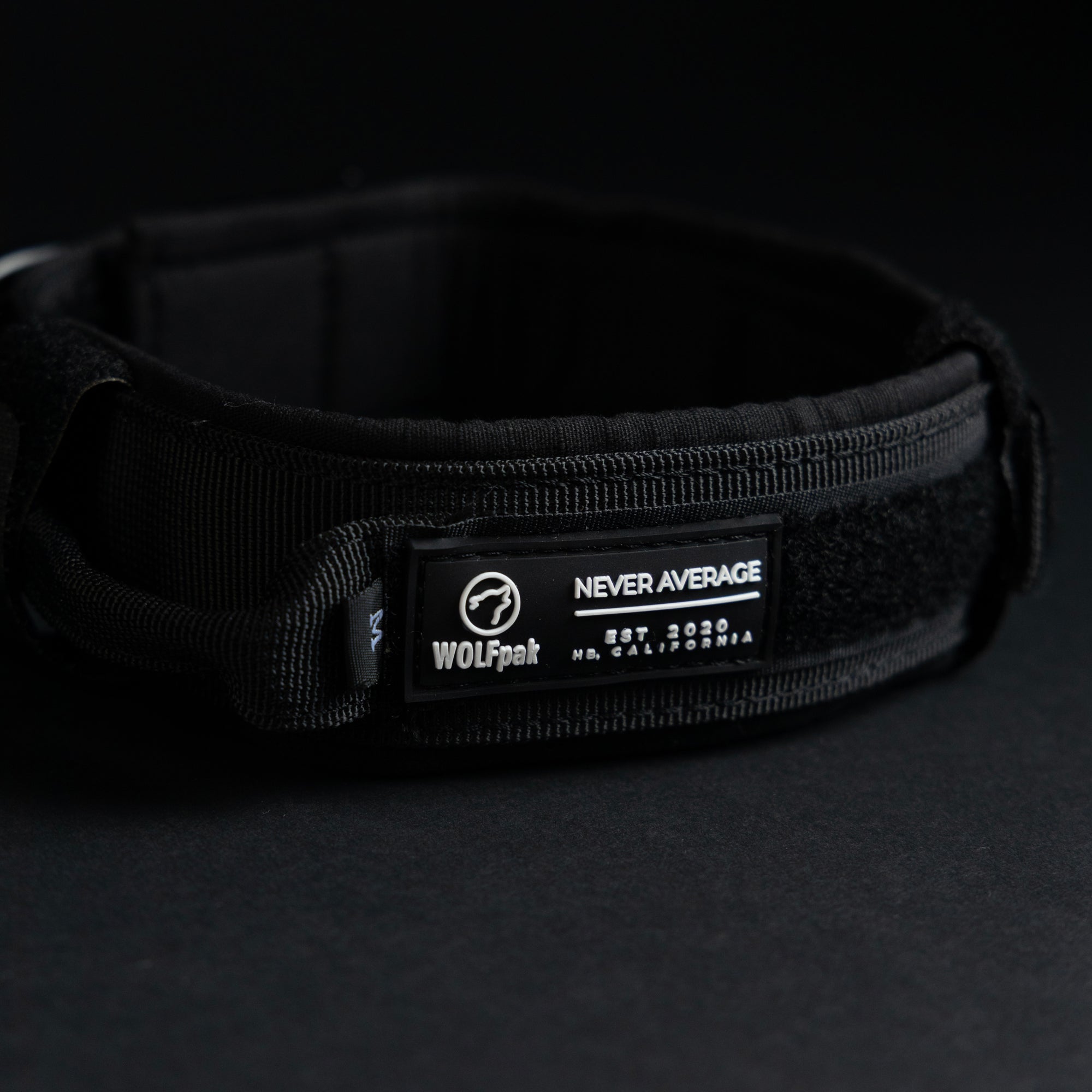 Tactical Dog Collar Black