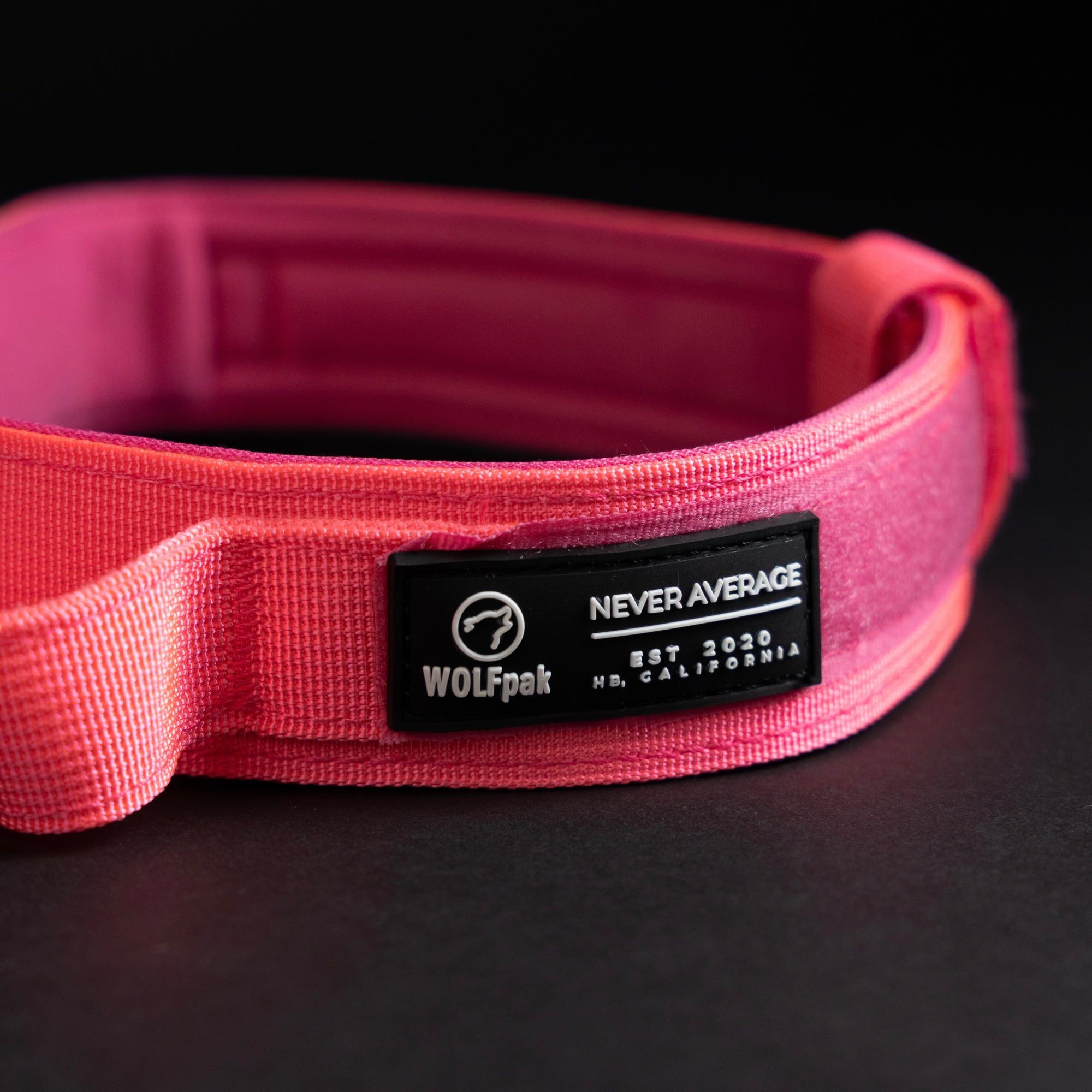 Tactical Dog Collar Neon Pink