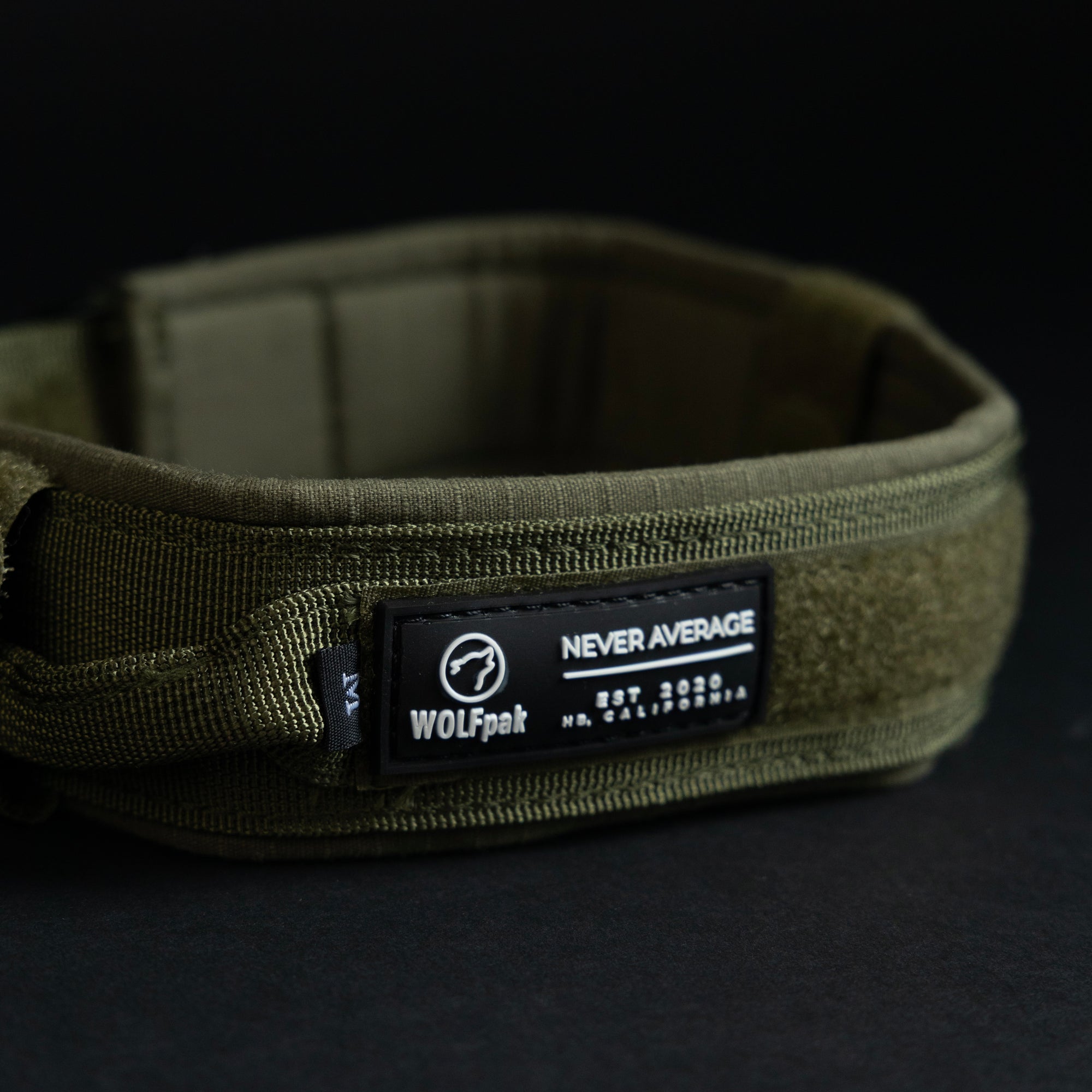 Tactical Dog Collar Green