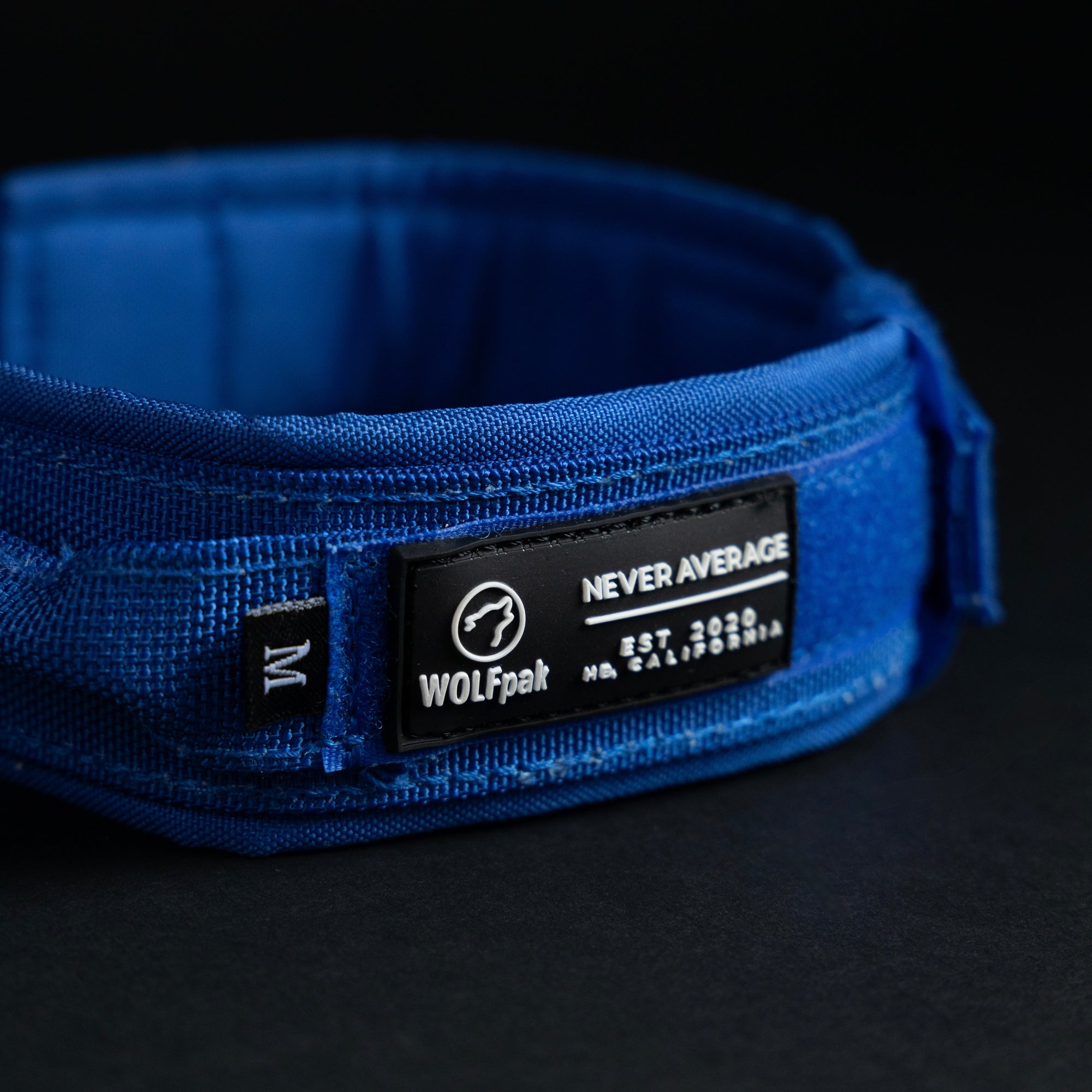 Tactical Dog Collar Blue