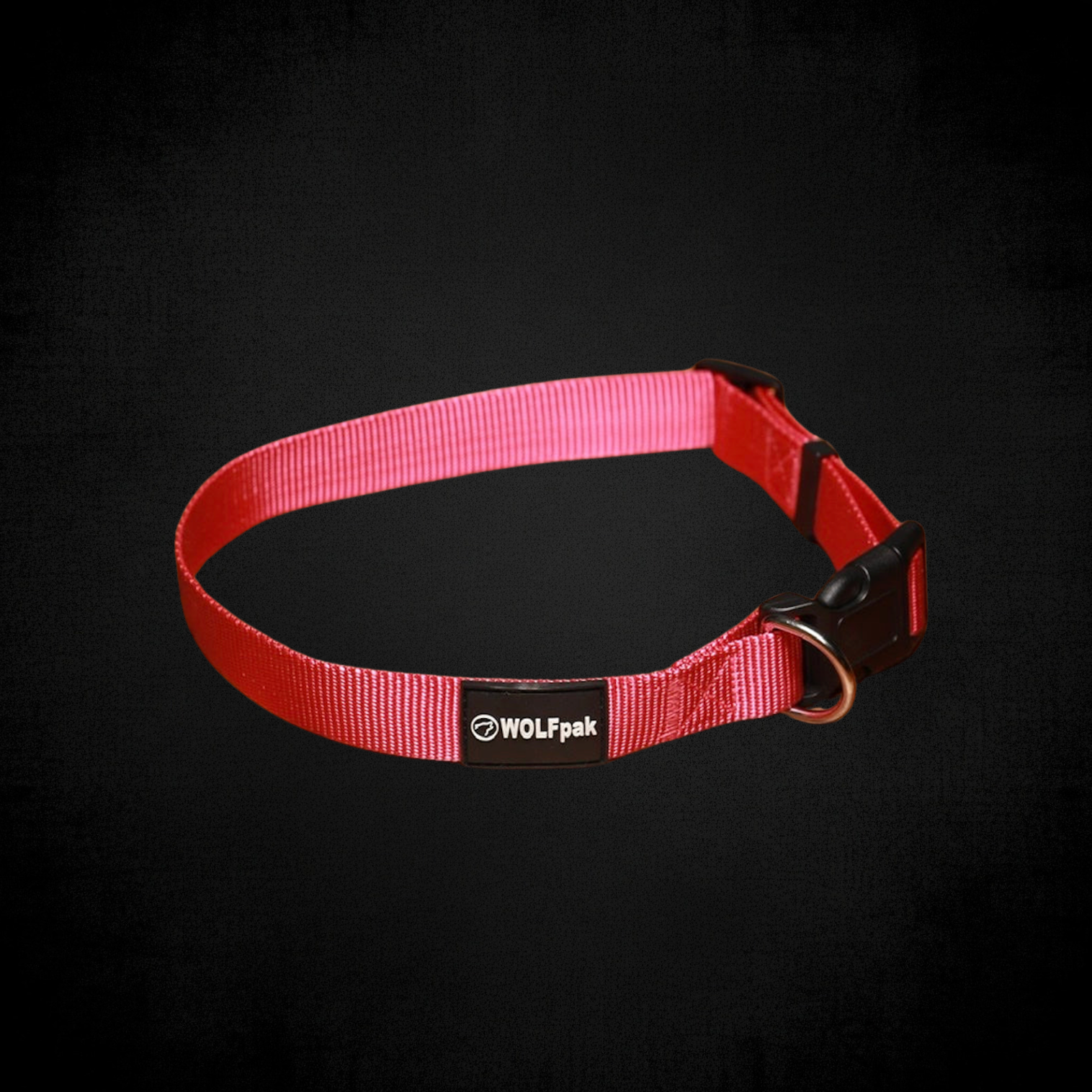 Adjustable Nylon Dog Collar Pink Goddess