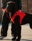 Elite Red Tactical Dog Vest Harness