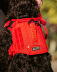 Elite Red Tactical Dog Vest Harness