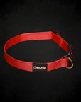 Adjustable Nylon Dog Collar Savage Red