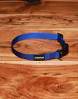 Adjustable Nylon Dog Collar Champion Blue
