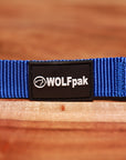Adjustable Nylon Dog Collar Champion Blue