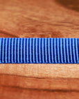 Adjustable Nylon Dog Collar Champion Blue