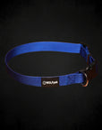Adjustable Nylon Dog Collar Champion Blue