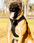 Alpha Black Tactical Dog Vest Harness