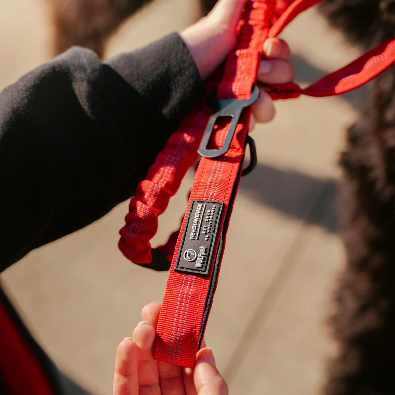 Tactical Seat Belt Leash Elite Red