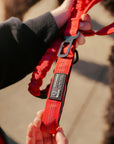 Tactical Seat Belt Leash Elite Red