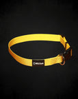 Adjustable Nylon Dog Collar Sunkiss Yellow