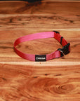 Adjustable Nylon Dog Collar Pink Goddess