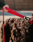 Tactical Seat Belt Leash Elite Red