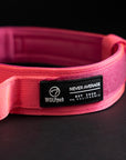 Tactical Dog Collar Neon Pink