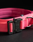 Tactical Dog Collar Neon Pink
