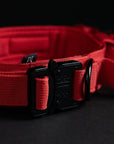 Tactical Dog Collar Elite Red