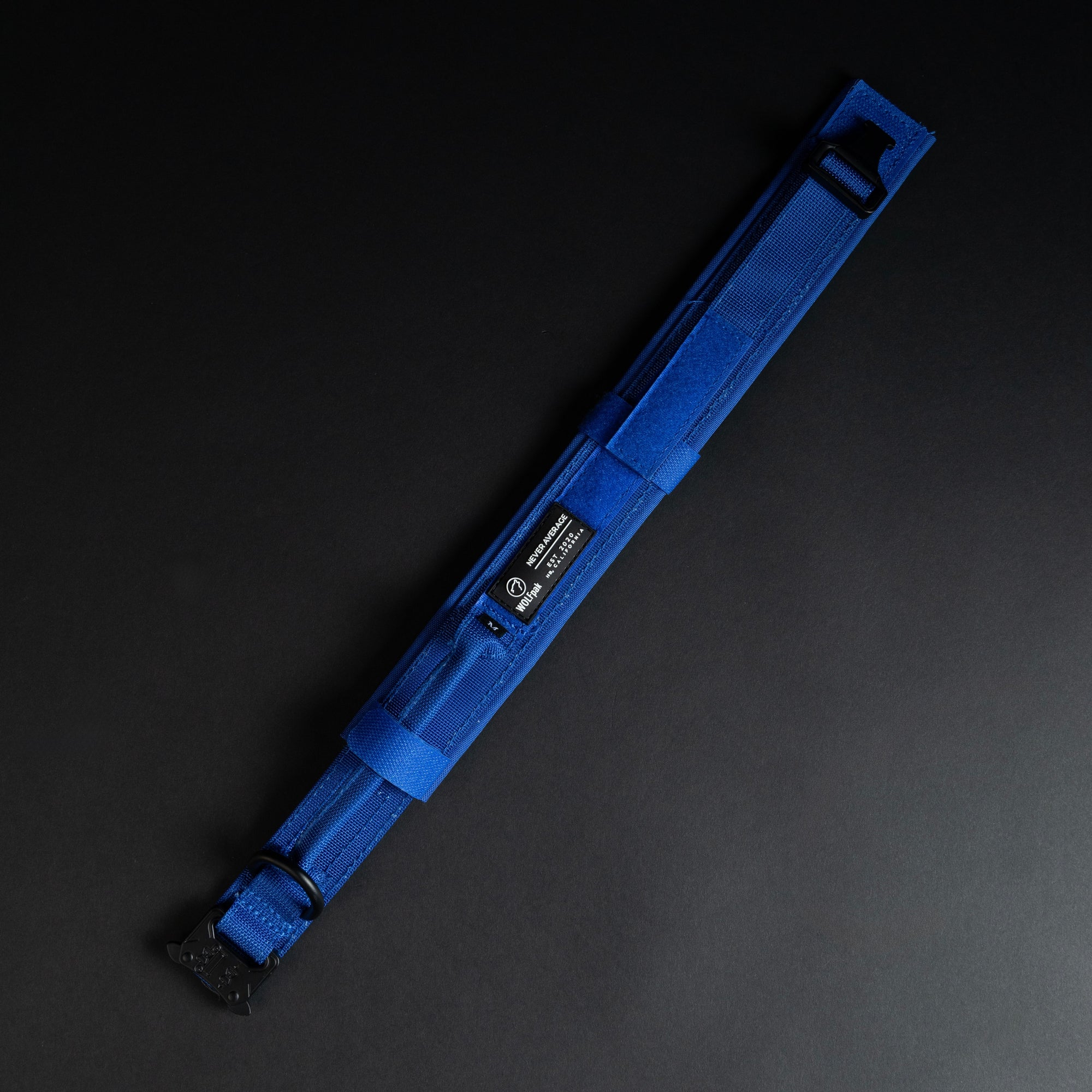 Tactical Dog Collar Blue