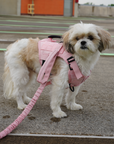 Tactical Leash Dream Pink