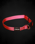 Adjustable Nylon Dog Collar Pink Goddess